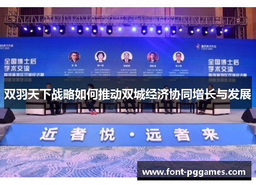 双羽天下战略如何推动双城经济协同增长与发展