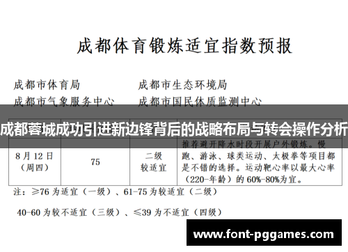 成都蓉城成功引进新边锋背后的战略布局与转会操作分析