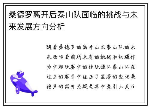桑德罗离开后泰山队面临的挑战与未来发展方向分析