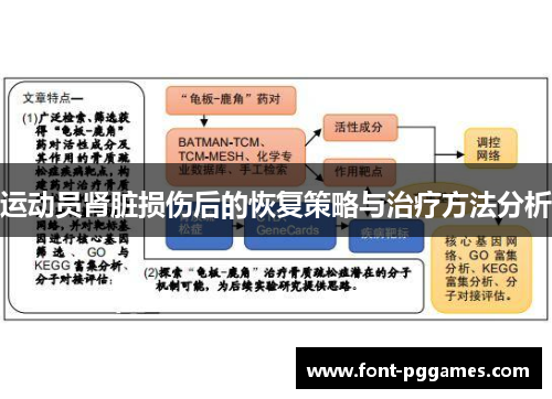 运动员肾脏损伤后的恢复策略与治疗方法分析