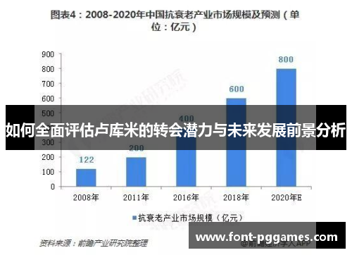如何全面评估卢库米的转会潜力与未来发展前景分析