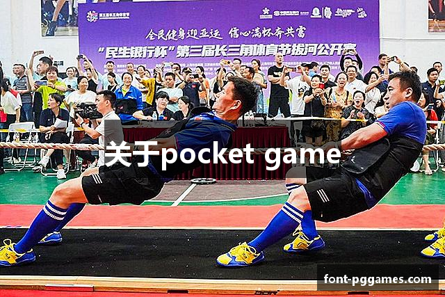 关于pocket game